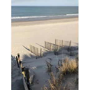 Sand fence install