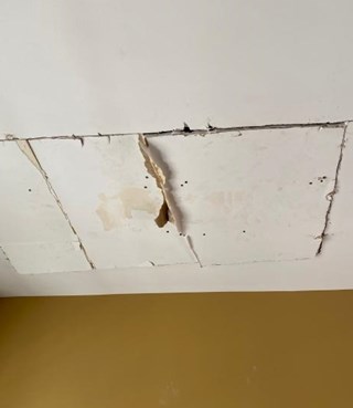 Ace Handyman Services Fox Valley Ceiling Repair - Before