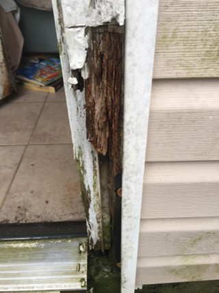 Door jamb repairs in Springdale