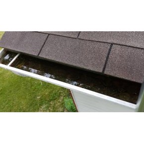 Gutter Cleaning