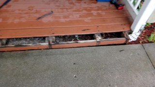 Replace Rotted Deck boards Before