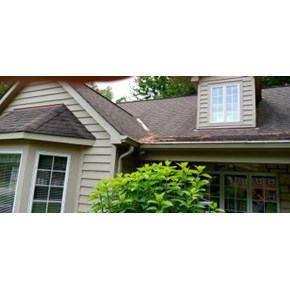 Roof clean Before