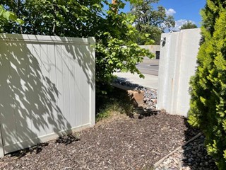 Before-Fence