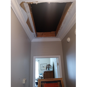 Attic Ladder/ Greystone Legacy