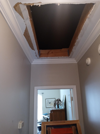 Attic Ladder repair Greystone AL