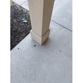 Removed Rotted Wood and Replaced with New