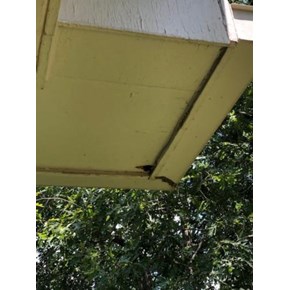 Replaced Soffit/ Mountain Brook