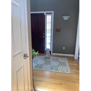 Ace Handyman Services Wilkes-Barre and Scranton Mascot 