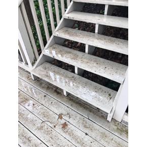 Deck Before