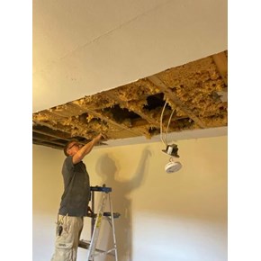 Ceiling Repair - Before