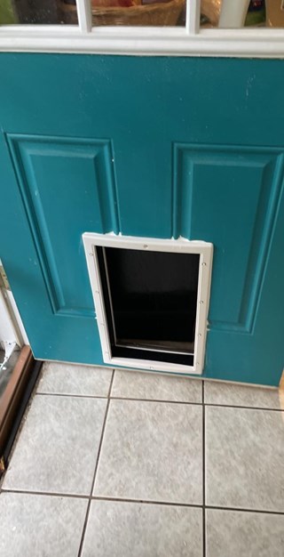 Dog Door After
