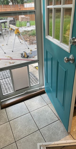 Dog Door Before