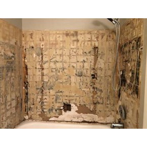 Shower walls before tile is installed 