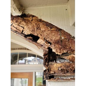 Fascia: close up of water damage