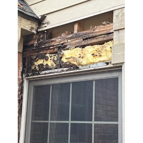 Water Damage--Home Siding Before