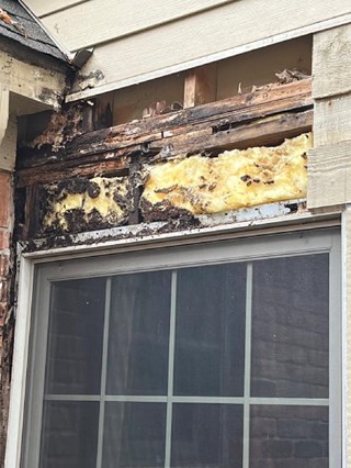 Exterior Home Water Damage--Siding Before