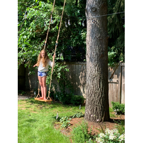 Naperville Ace Handyman Services Tree Swing