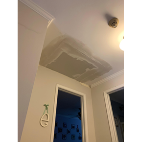 Glen Ellyn Ace Handyman Ceiling repair
