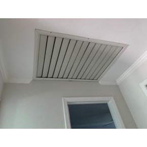 Ceiling Repair