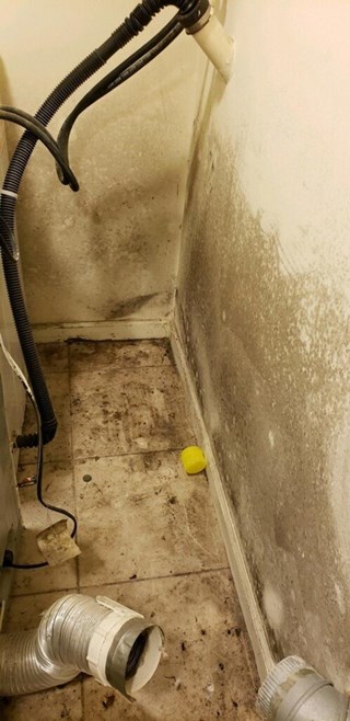 Boathouse Clean up Before in Middletown