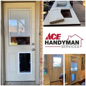 Dog doors daily!