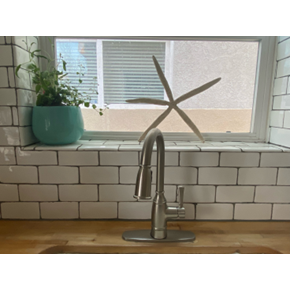 Kitchen Faucet Install