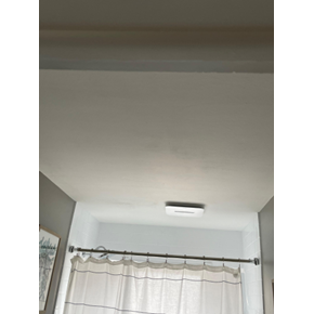 Painted Ceiling