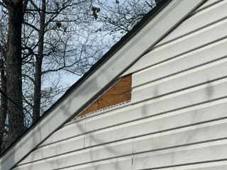 Siding Repair Leesburg Before