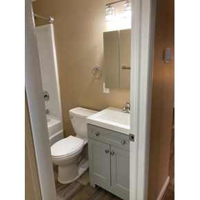 Ace Handyman Services Wilkes-Barre and Scranton Bathroom Update in Luzerne, PA
