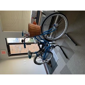 Wheaton Ace Handyman Services Reconditioned Lady Schwinn Hollywood