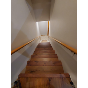 Replace Stair Tread