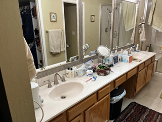 Bathroom Cabinets and Countertop Before