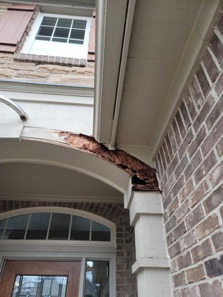 Fascia: the true depth of the damage revealed