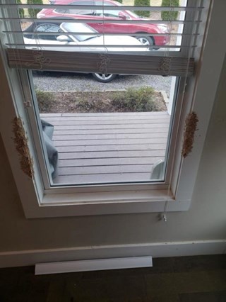 Window Trim, Asheville NC - Before Photo (pet damaged)