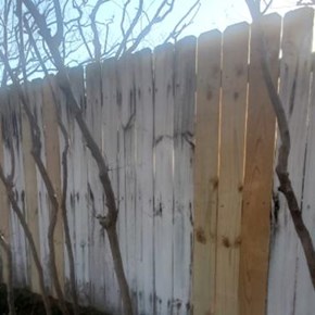 Picket Replacement - Keller, TX