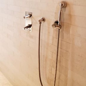 Replace Shower Head - Flower Mound, TX