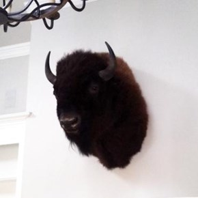 Wall Mounting - Westlake, TX