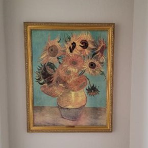 Picture Hanging - Flower Mound, TX