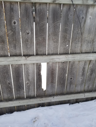 Dog Ear Board Replacement