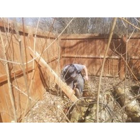 Fence Repair