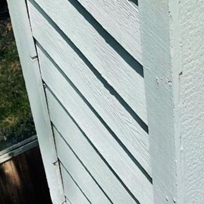 Paint Chimney Siding - Flower Mound, TX