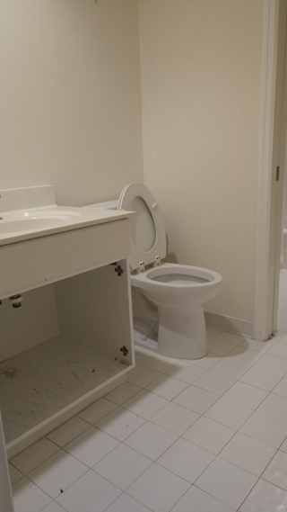 Vanity and Mirror Replacement in Hardeeville