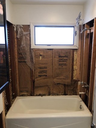 Before Shower Remodel 
