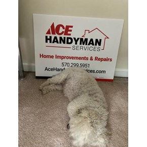 Ace Handyman Services Wilkes-Barre and Scranton