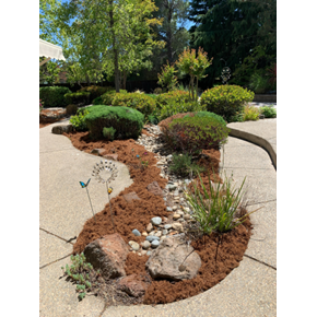 Mulch After Mulch After