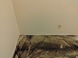 Install Doggie Door Before Central Houston