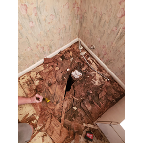 Bathroom Flooring Repairs (before)