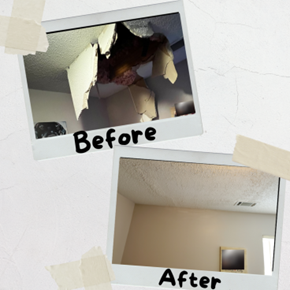 Another Attic Accident