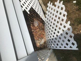 Lattice Repair in Norwich Before
