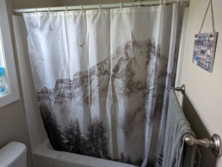 Shower Before in Conway